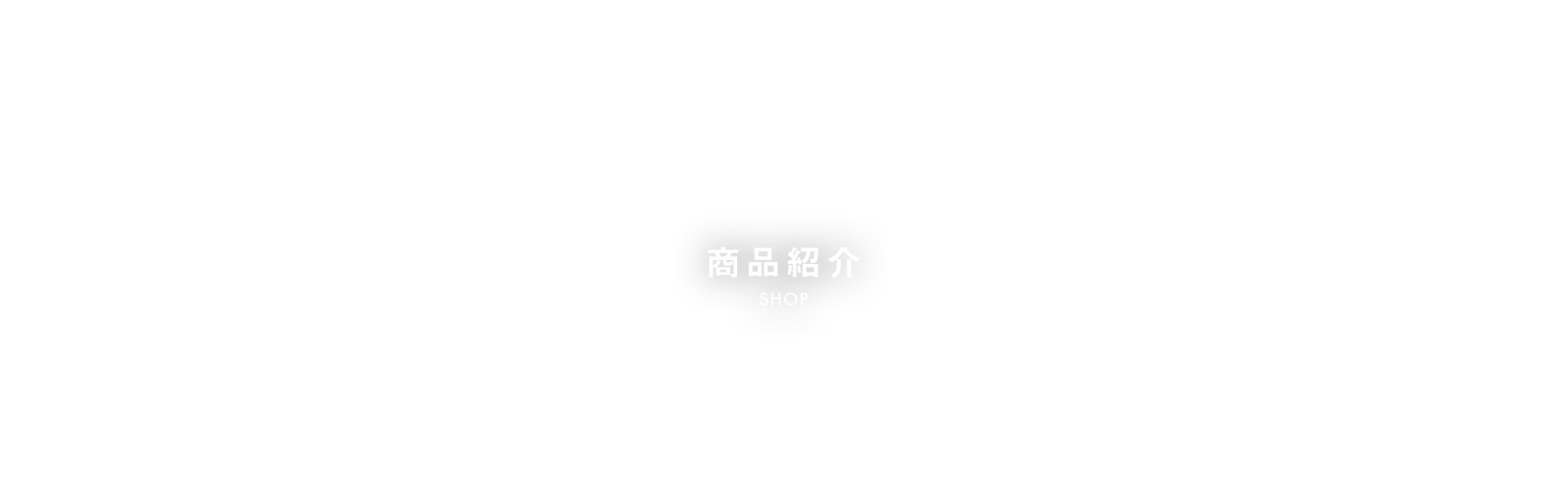 商品紹介